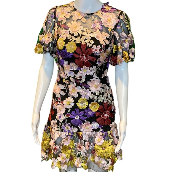 NWT Milly Yasmin Multi 3D Floral Embroidery Dress - Sz 0 - Picture 2 of 11